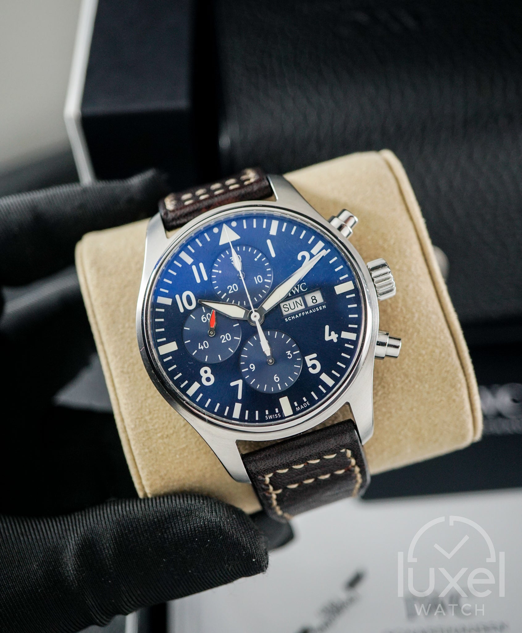 Pilot's Watch Chronograph Edition "Le Petit Prince" Blue Dial Calfskin Leather Strap IW377714