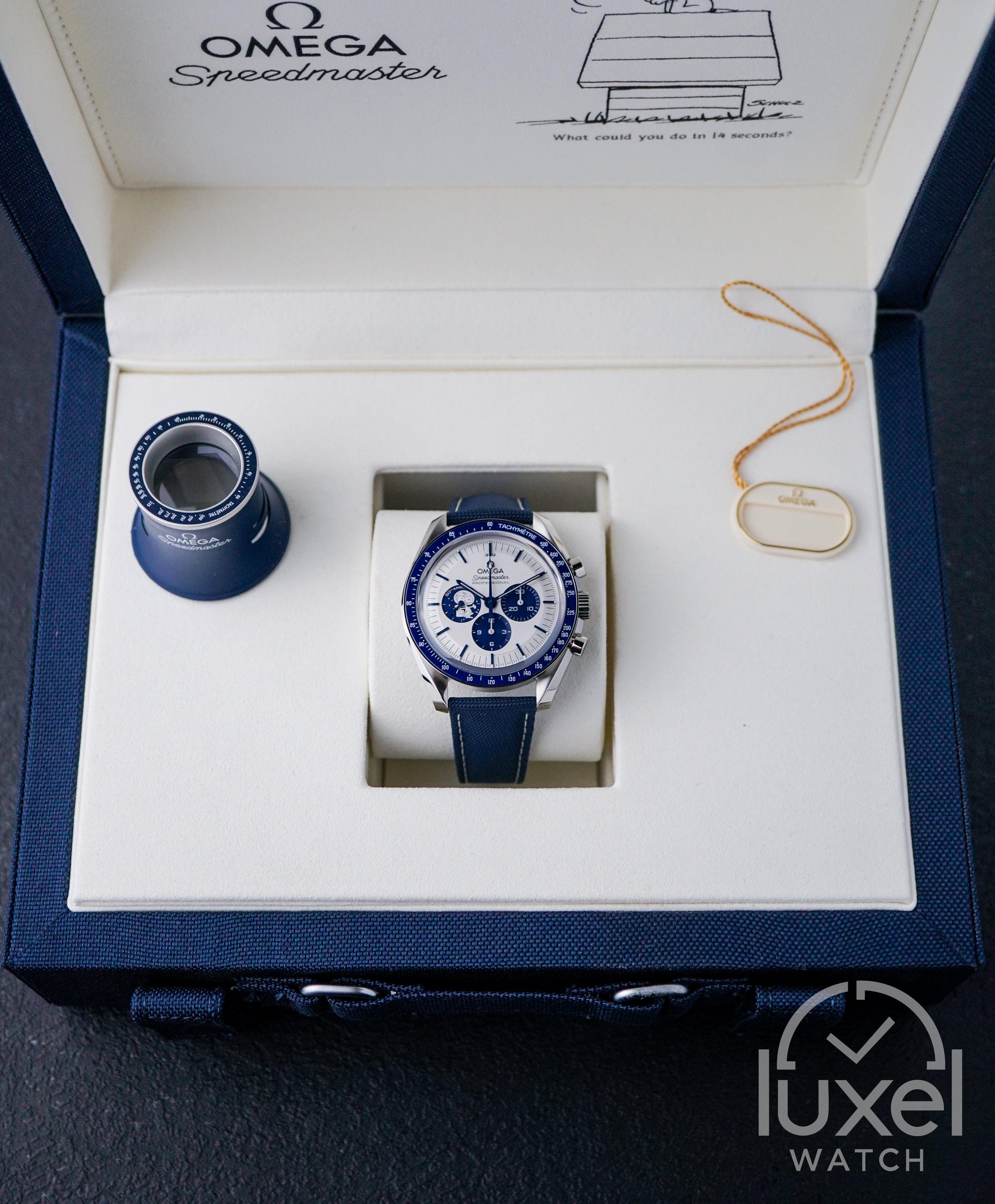 Speedmaster Anniversary Series “Silver Snoopy Award” 50th Anniversary Steel Case with Silver Dial 310.32.42.50.02.001