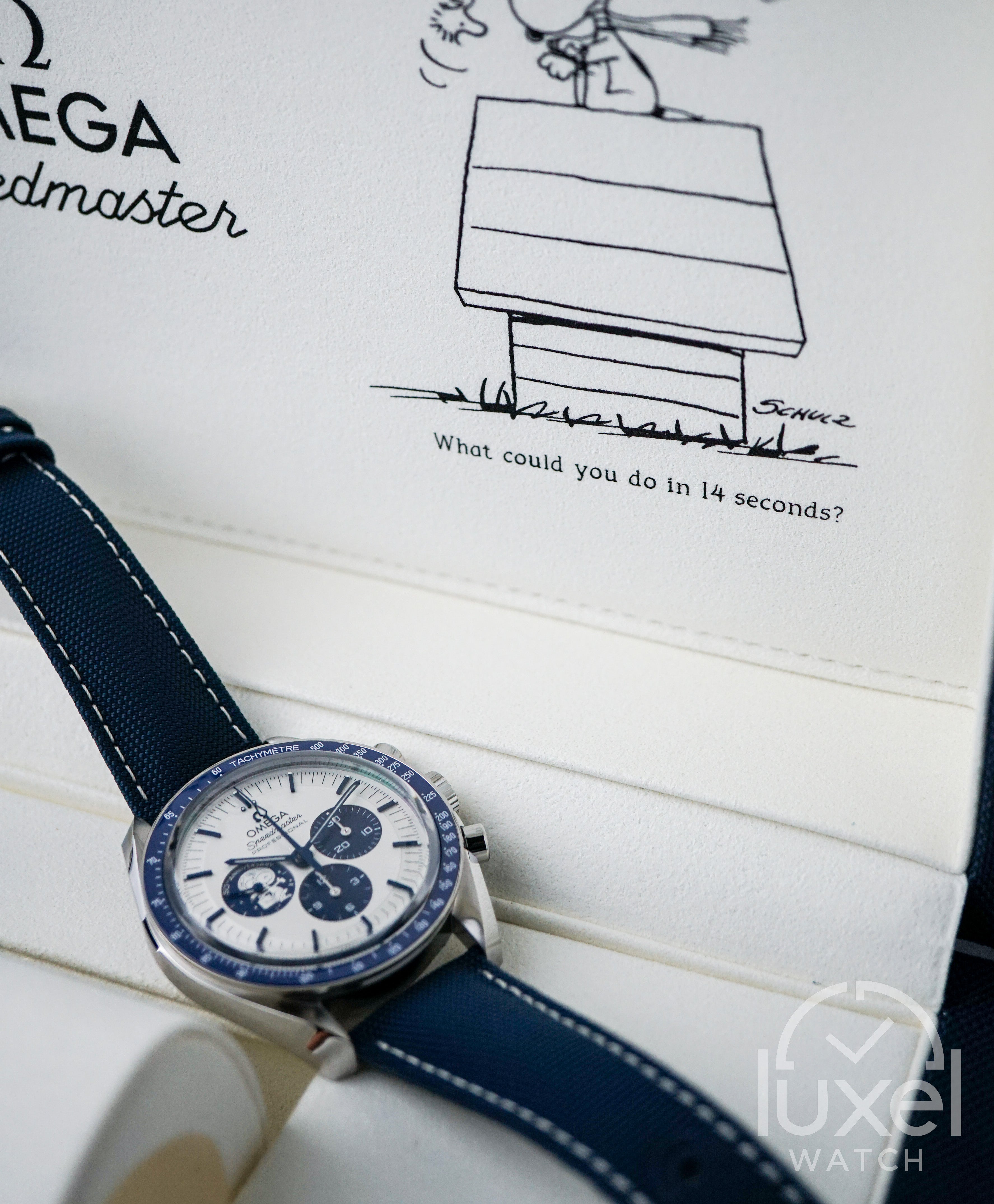 Speedmaster Anniversary Series “Silver Snoopy Award” 50th Anniversary Steel Case with Silver Dial 310.32.42.50.02.001