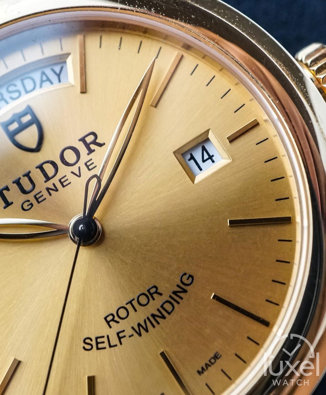 tudor Glamour Date+Day With Champagne Dial 18k Gold Case Leather Strap M56008-0016