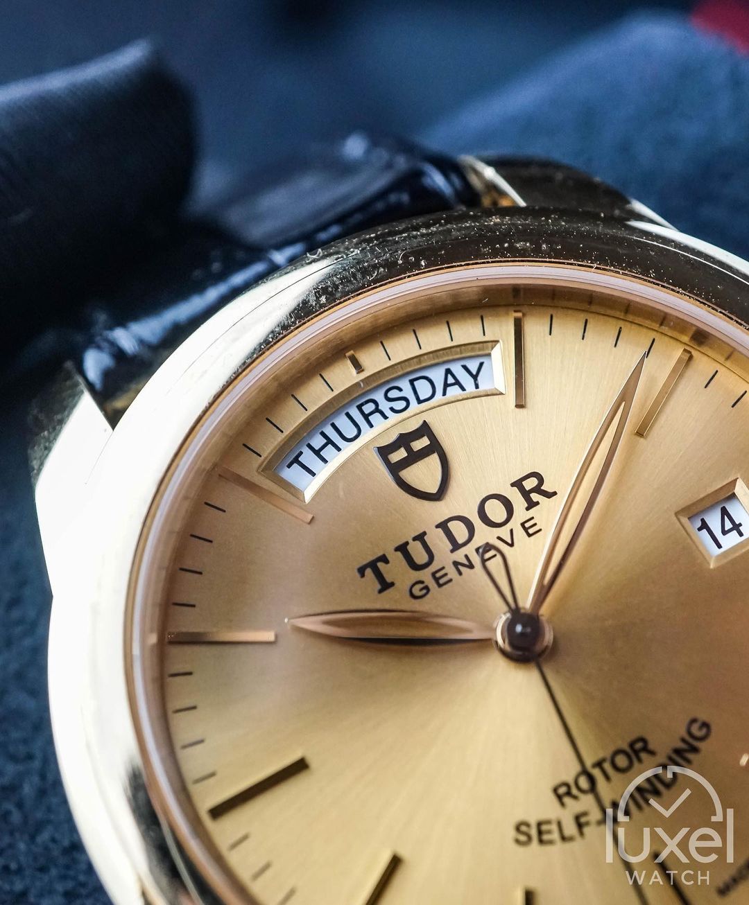 tudor Glamour Date+Day With Champagne Dial 18k Gold Case Leather Strap M56008-0016