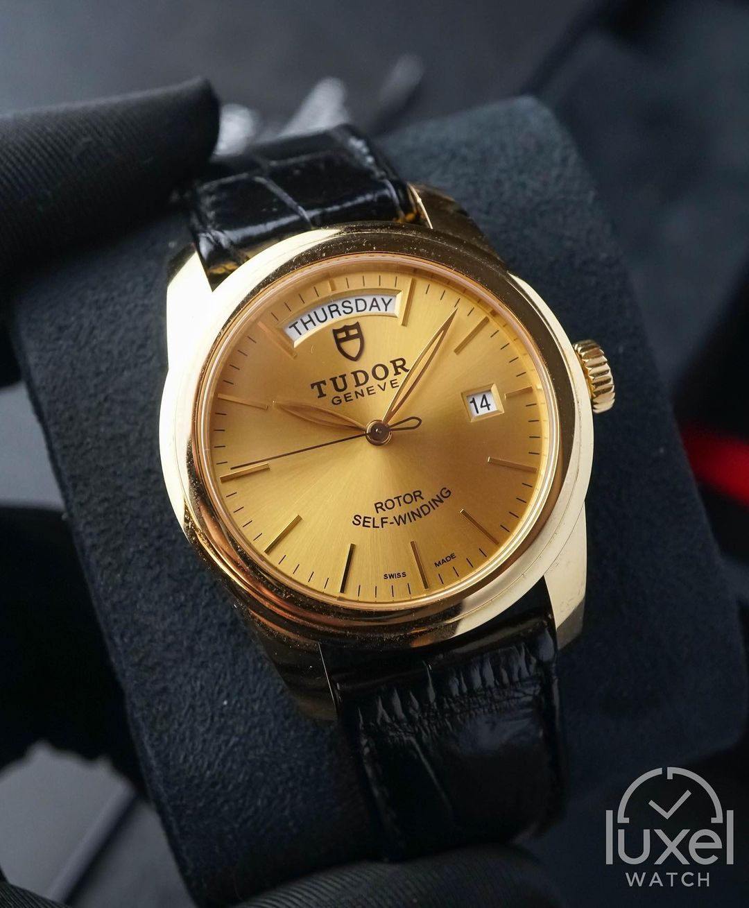 tudor Glamour Date+Day With Champagne Dial 18k Gold Case Leather Strap M56008-0016