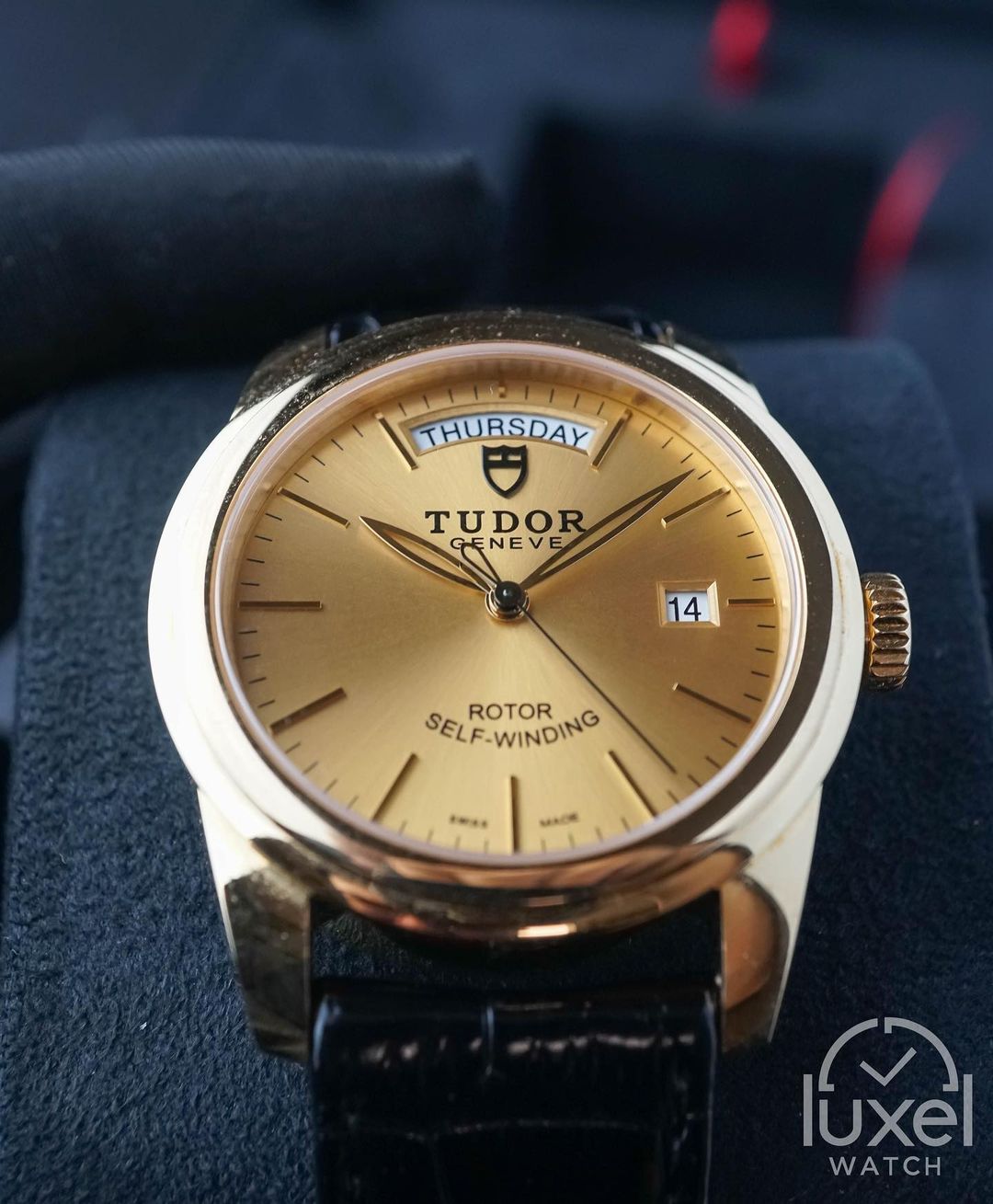 tudor Glamour Date+Day With Champagne Dial 18k Gold Case Leather Strap M56008-0016